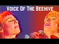 Voice of the Beehive - Sit down - Live 1991