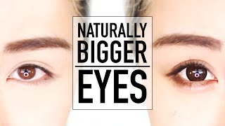 Beginners Bigger Eyes Drugstore Makeup Tutorial ♥ Perfect for Hooded Eyes & Asian Eyes ♥ Wengie
