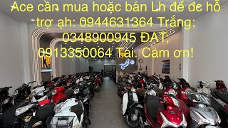 ✅ CẬP NHẬT & BÁO DÁ XE / chúc cả nhà xem video vui vẻ 🥰