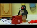 Pingu The Doctor Pingu Official Channel Cartoons For Kids