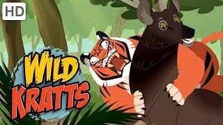Wild Kratts 🐯 Rescuing Endangered Species 🐼| Kids Videos