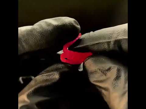 ~子甄彣璟~81PCS魚餌套裝 軟餌鉛頭 鉤餌 路亞餌 微物魚餌 路亞餌 假餌 誘餌 仿生餌 釣魚 擬餌 魚鉤