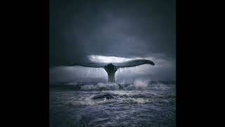 Roy Buchanan   Fly ///   Night Bird //HD