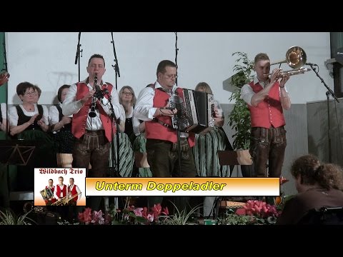 Unterm Doppeladler - Wildbach Trio in St. Peter - Freienstein (05.03.2016)