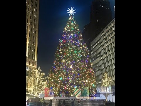 Detroit Holiday Lights Tour
