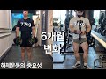 하체운동을 했는데 상체도 같이 커졌습니다. [헬린이 후기]