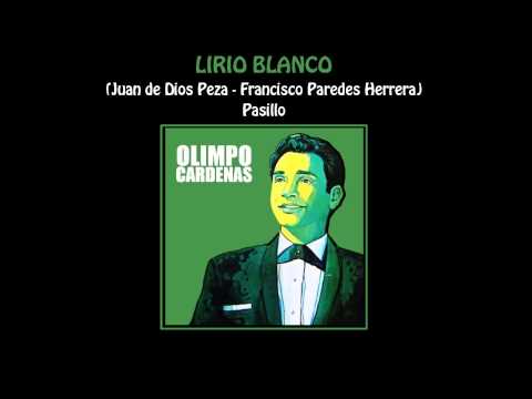 LIRIO BLANCO | OLIMPO CARDENAS