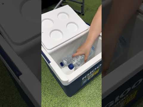 Gambar Igloo 5 Ltr Essential Cooler Box - Biru