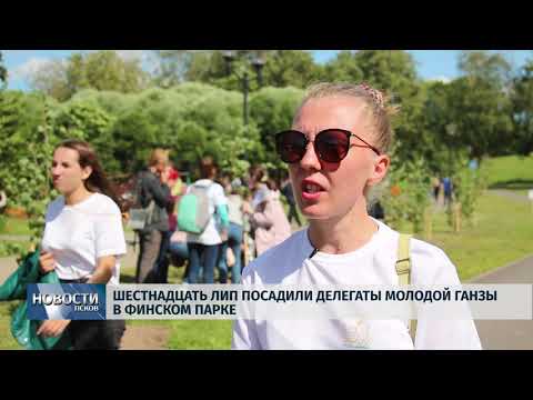 01.07.2019 / Шестнадцать лип посадили делегаты Молодой Ганзы в Финском парке