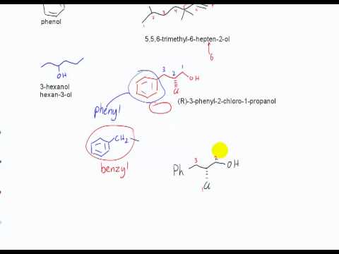 CHM 205 - Quiz 1 & alcohols
