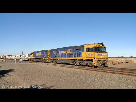 6MP4 Pacific National TOLL Container Train With Diesel Locomotives NR10 & NR118 (2/5/2025) - PoathTV