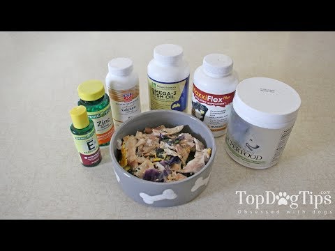 download lagu mp3 mp4 Vitamins For Homemade Dog Food, download lagu Vitamins For Homemade Dog Food gratis, unduh video klip Vitamins For Homemade Dog Food