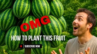 How to grow watermelon in your home.