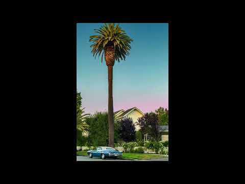 [FREE] Scorpion Gang X KoziKoza X Billa Joe Type Beat | Sommer Vibes