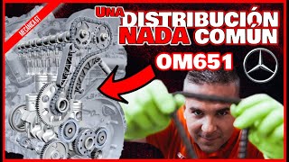 ¿ALGUNA VEZ habías VISTO esta DISTRIBUCIÓN  Así es la OM651 de MERCEDES