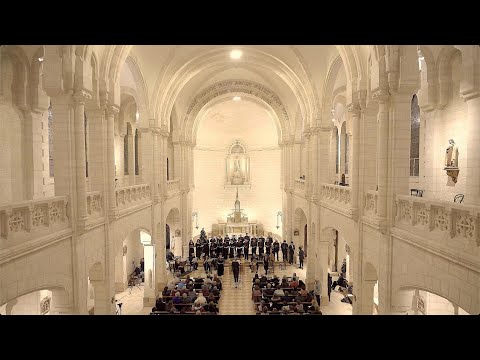 Antonio Caldara: Magnificat! Ensemble PHOENIX, Madrigal Singers, Myrna Herzog