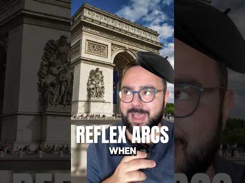 Anatomie & Behandlungswissen Videos – Interaktives Nachschlagewerk für Physio, Massage, Therapie 31 What are reflex arcs?