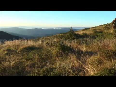 "Hirschbrunft in den Rhodopen" 3. Teil