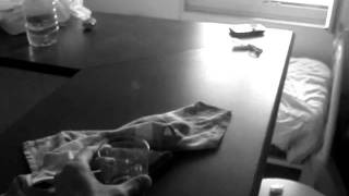 Lullaby- Grizzly Bear- Lonley In Paris