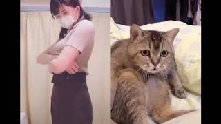 【意外コラボ】可愛いな～！そりゃ猫ちゃんも前のめりやw
