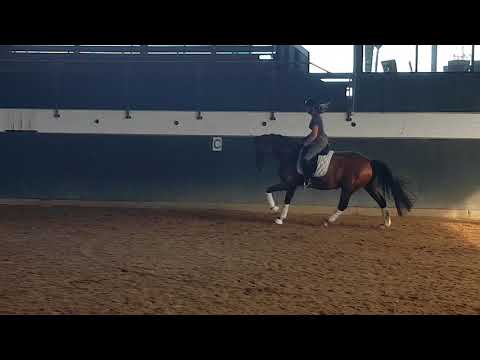 Benicia V.Benicio 4 jährig