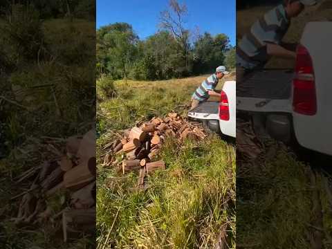 Asi es Misiones | Buscando leña y mandarinas de la chacra Santa Rosa