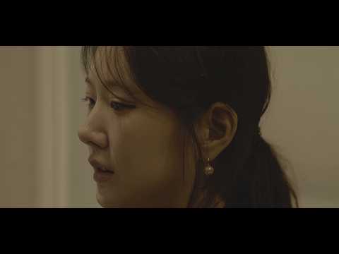 비디오 23