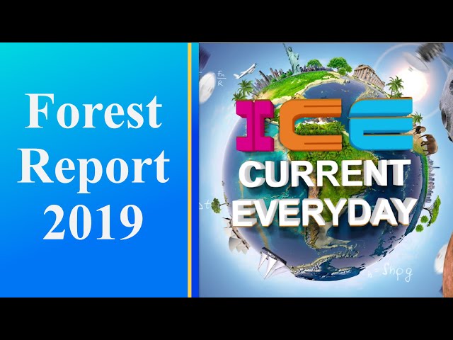 027 # ICE CURRENT EVERYDAY # FOREST REPORT 2019