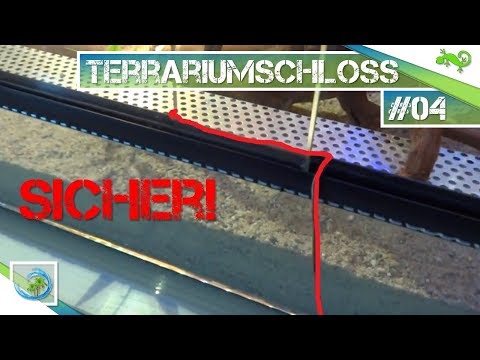 TerrariumSCHLOSS SELBER machen! |#4 Gecko Tagebuch