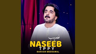 Download lagu Naseeb Tppy mp3