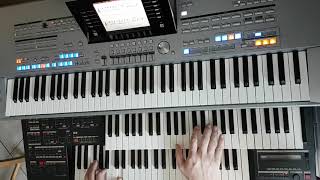 Eifelsounds - Was hast Du denn gedacht / Fantasy - Tyros 5 - live