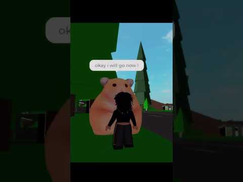 Oh no she’s in danger ! Evil hamster Part 29 #shorts