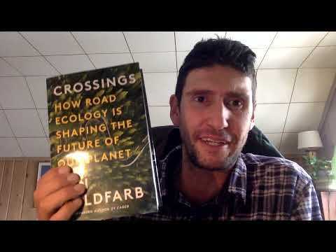 ピューマ、野生動物の横断、道路の生態について学ぶ