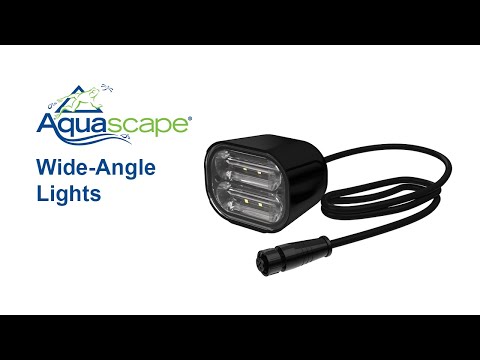 Aquascape Lighting Demonstration
