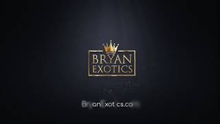 Bryan Exotics
