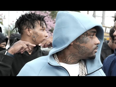 Dc Baby Draco and Dc Baby Draco 2