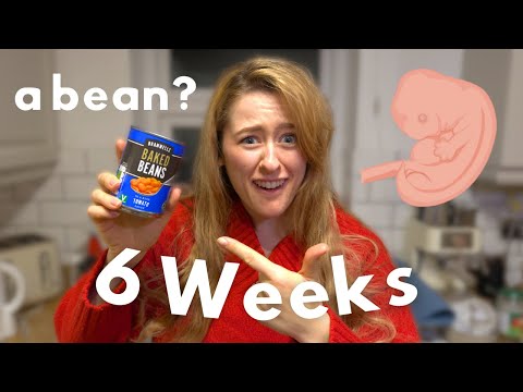 6 Weeks Pregnant: Symptoms and Development | Week by Week of Pregnancy