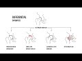 Acetabular Dysplasia (Hip Dysplasia): Symptoms, Imaging and Treatment & Explained