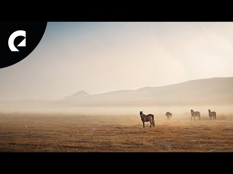 Bo the Drifter - Simpler Life