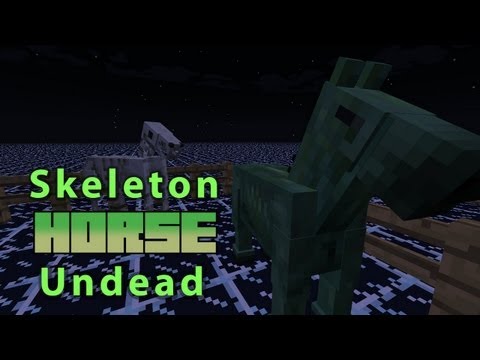 Minecraft: Skeleton Horse & Undead Horse! [World Download]