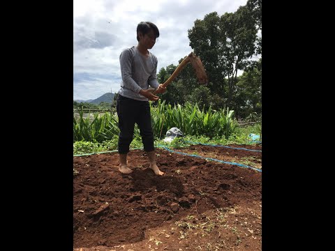 Dimas ali singaperwata - Application Video to apply LCEB AIESEC in Unpad 2021