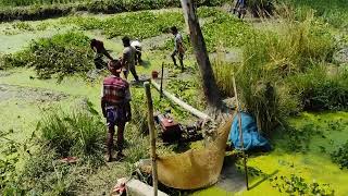 Village People Catch Fish From Mud water ।