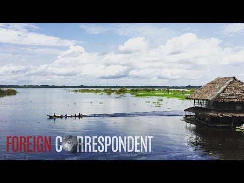 The Dangerous World Of Ayahuasca | Foreign Correspondent