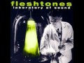Fleshtones - Psychedelic swamp