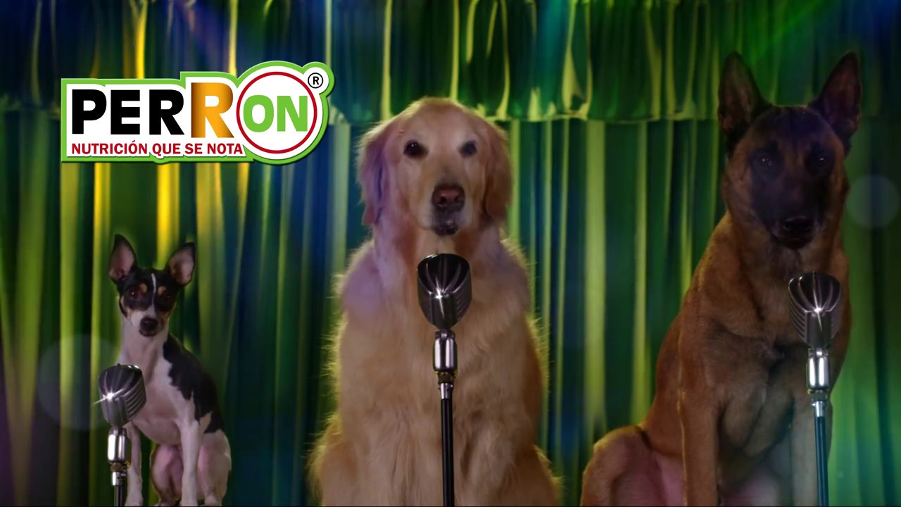 Perron - Nutrición que se nota