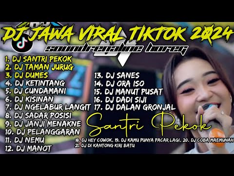 DJ JAWA VIRAL TIKTOK 2023 CAMPURAN || DJ TAMAN JURUG, DJ DUMES, DJ SANTRI PEKOK - THAILAND STYLE