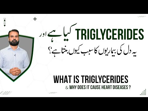 Why Triglycerides Causes of Heart Diseases? | Triglycerides Kaise Kam Kare in Urdu/Hindi