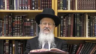 הגאון הרב אברהם יוסף שליט"א מה הפירוש הראנו בבנינו ושמחנו בתקונו (הרב אברהם יוסף) - התמונה מוצגת ישירות מתוך אתר האינטרנט יוטיוב. זכויות היוצרים בתמונה שייכות ליוצרה. קישור קרדיט למקור התוכן נמצא בתוך דף הסרטון