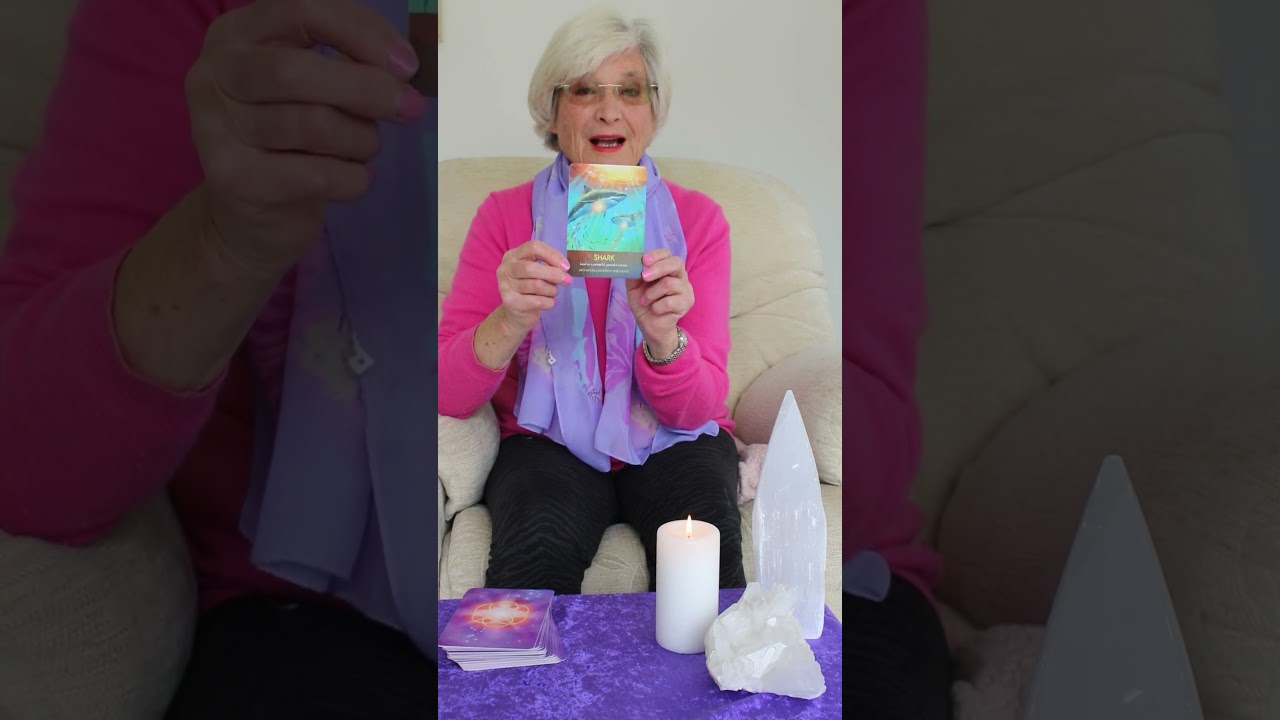 Todays Animal Card Reading Todays Animal Card Reading