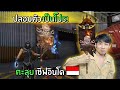 โปรพีฟาย
